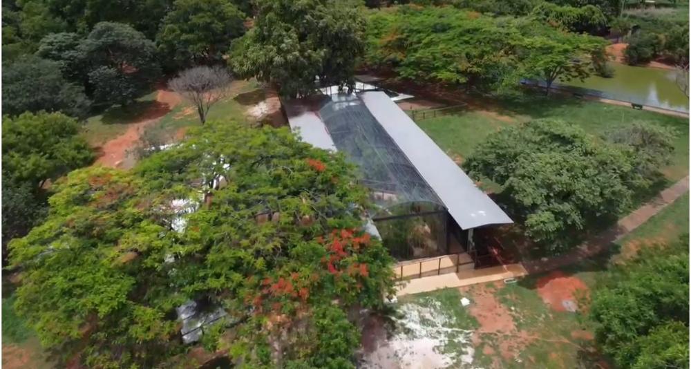 Capa da notícia: Zoológico de Brasília inaugura primeiro recinto de imersão com 15 espécies de aves brasileiras