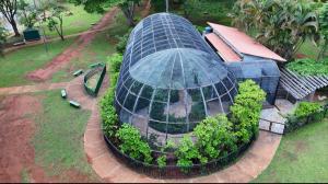 Borboletário do Zoológico de Brasília celebra 20 anos com programação especial