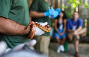 Zoo Experiência aproxima público da fauna e promove a conscientização ambiental