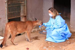 Dia do Veterinário: dedicação, ciência e amor no cuidado com os animais do Zoo